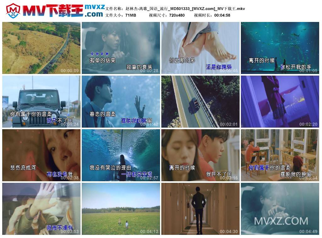 赵林杰-离歌_国语_流行_MD501333